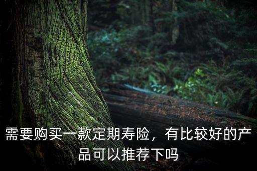 需要購買一款定期壽險(xiǎn)，有比較好的產(chǎn)品可以推薦下嗎