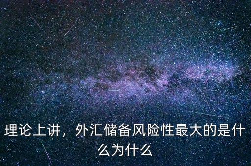 理論上講，外匯儲(chǔ)備風(fēng)險(xiǎn)性最大的是什么為什么