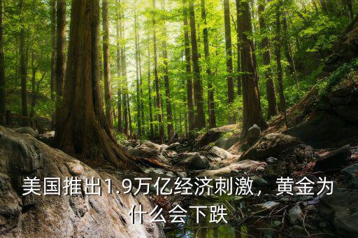 美國(guó)推出1.9萬(wàn)億經(jīng)濟(jì)刺激，黃金為什么會(huì)下跌