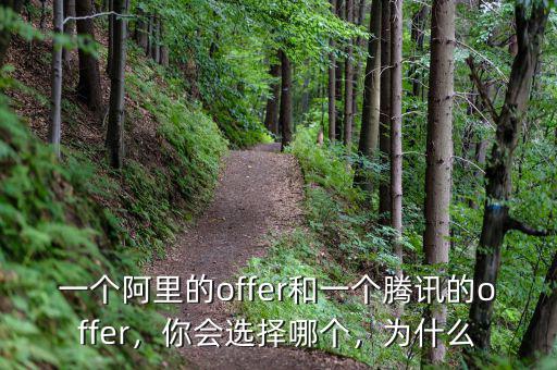 一個阿里的offer和一個騰訊的offer，你會選擇哪個，為什么