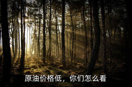 原油價格低，你們怎么看