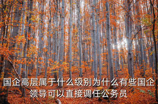 國企是什么級(jí)別,北京市屬國企老總是什么級(jí)別