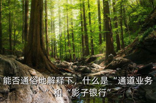 能否通俗地解釋下，什么是“通道業(yè)務(wù)”和“影子銀行”