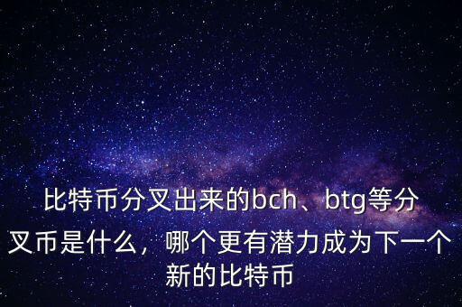 比特幣分叉出來(lái)的bch、btg等分叉幣是什么，哪個(gè)更有潛力成為下一個(gè)新的比特幣