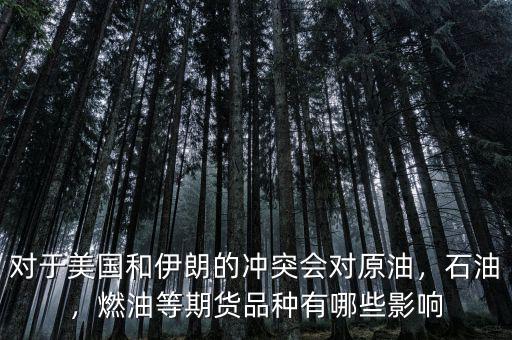 對于美國和伊朗的沖突會對原油，石油，燃油等期貨品種有哪些影響