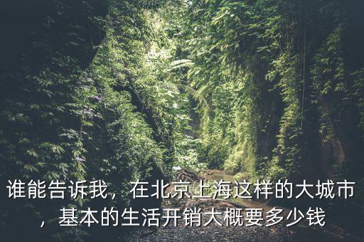誰能告訴我，在北京上海這樣的大城市，基本的生活開銷大概要多少錢