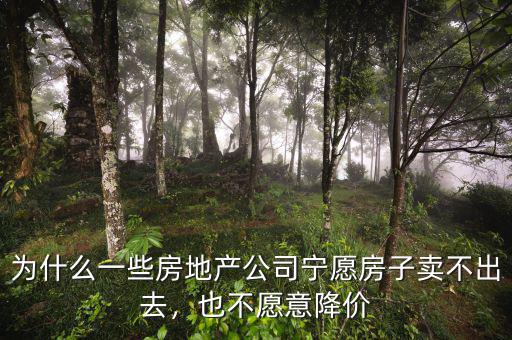 為什么一些房地產(chǎn)公司寧愿房子賣不出去，也不愿意降價(jià)