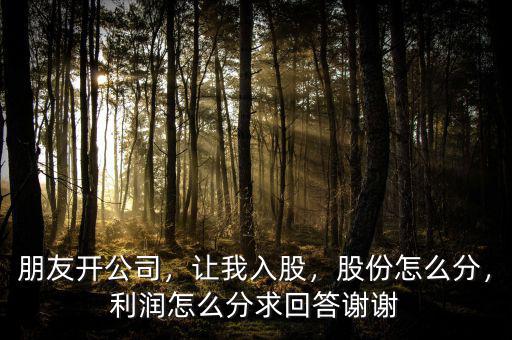 朋友開公司，讓我入股，股份怎么分，利潤怎么分求回答謝謝