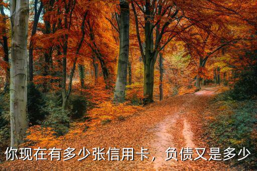 你現(xiàn)在有多少張信用卡，負債又是多少