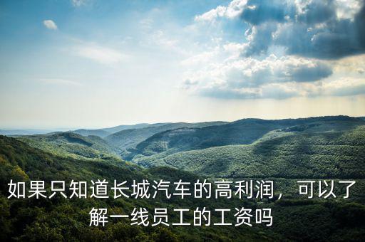 如果只知道長(zhǎng)城汽車的高利潤(rùn)，可以了解一線員工的工資嗎