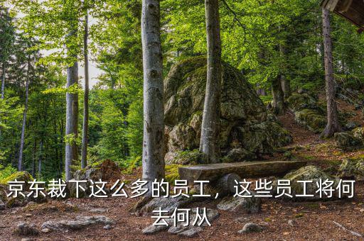 京東裁下這么多的員工，這些員工將何去何從