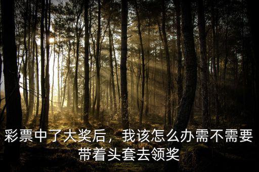 彩票中了大獎后，我該怎么辦需不需要帶著頭套去領(lǐng)獎