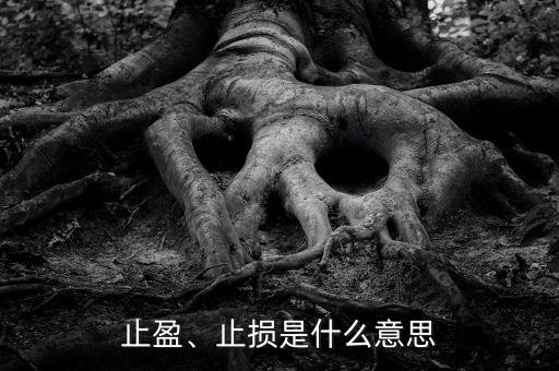 止盈、止損是什么意思