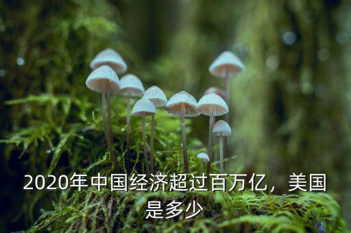 2020年中國經(jīng)濟超過百萬億，美國是多少