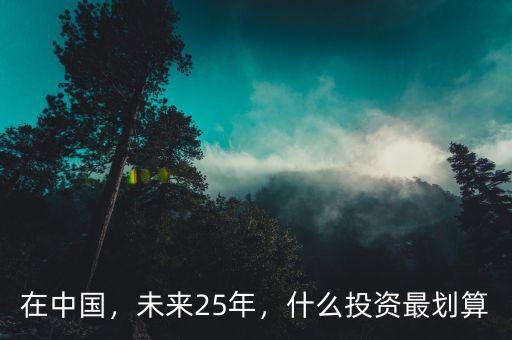 在中國，未來25年，什么投資最劃算