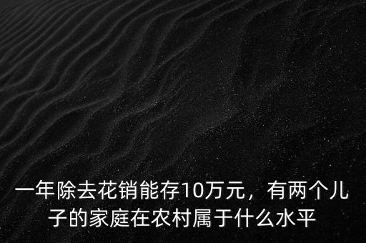 一年除去花銷能存10萬(wàn)元，有兩個(gè)兒子的家庭在農(nóng)村屬于什么水平
