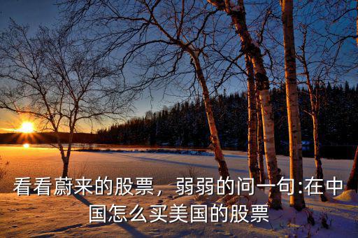 看看蔚來(lái)的股票，弱弱的問(wèn)一句:在中國(guó)怎么買(mǎi)美國(guó)的股票