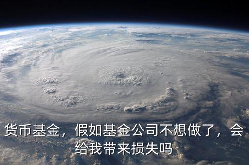 貨幣基金，假如基金公司不想做了，會給我?guī)頁p失嗎