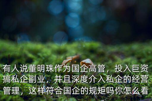有人說董明珠作為國企高管，投入巨資搞私企副業(yè)，并且深度介入私企的經(jīng)營管理，這樣符合國企的規(guī)矩嗎你怎么看