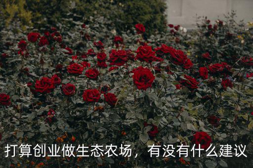 打算創(chuàng)業(yè)做生態(tài)農(nóng)場(chǎng)，有沒(méi)有什么建議
