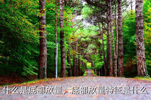 什么是底部放量，底部放量特征是什么