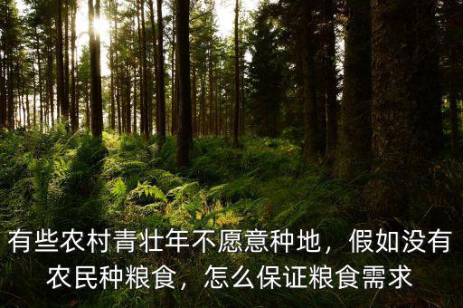 有些農村青壯年不愿意種地，假如沒有農民種糧食，怎么保證糧食需求