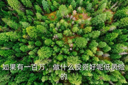 如果有一百萬，做什么投資好呢低風險的