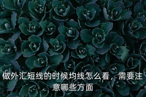 做外匯短線的時(shí)候均線怎么看，需要注意哪些方面