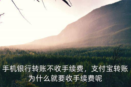 手機銀行轉(zhuǎn)賬不收手續(xù)費，支付寶轉(zhuǎn)賬為什么就要收手續(xù)費呢