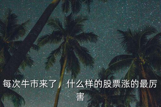 每次牛市來了，什么樣的股票漲的最厲害
