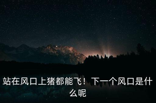 站在風(fēng)口上豬都能飛！下一個(gè)風(fēng)口是什么呢