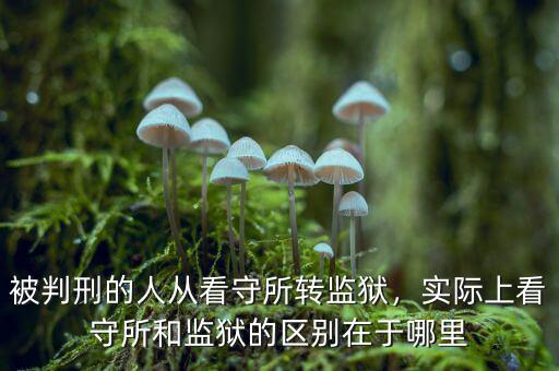 被判刑的人從看守所轉(zhuǎn)監(jiān)獄，實際上看守所和監(jiān)獄的區(qū)別在于哪里