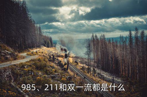 985、211和雙一流都是什么