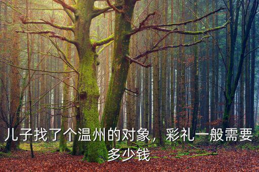 兒子找了個溫州的對象，彩禮一般需要多少錢