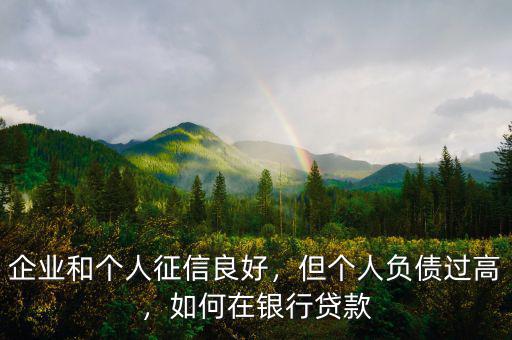 企業(yè)和個人征信良好，但個人負(fù)債過高，如何在銀行貸款