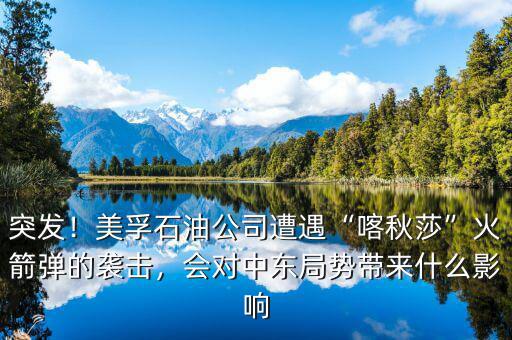 極端組織聲稱對襲擊負責(zé)有什么用,多個組織聲稱負責(zé)