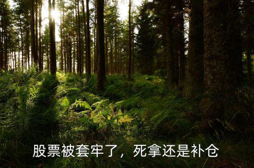 股票被套牢了，死拿還是補倉