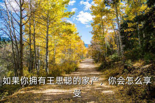 如果你擁有王思聰?shù)募耶a(chǎn)，你會怎么享受