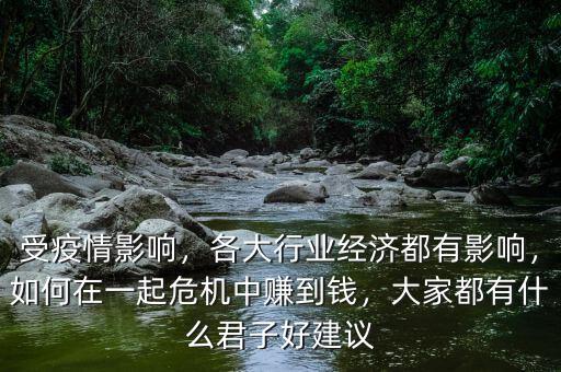 受疫情影響，各大行業(yè)經(jīng)濟都有影響，如何在一起危機中賺到錢，大家都有什么君子好建議