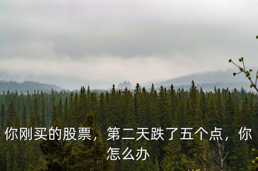 你剛買的股票，第二天跌了五個點，你怎么辦