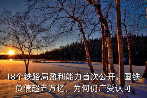 18個(gè)鐵路局盈利能力首次公開(kāi)，國(guó)鐵負(fù)債超五萬(wàn)億，為何仍廣受認(rèn)可