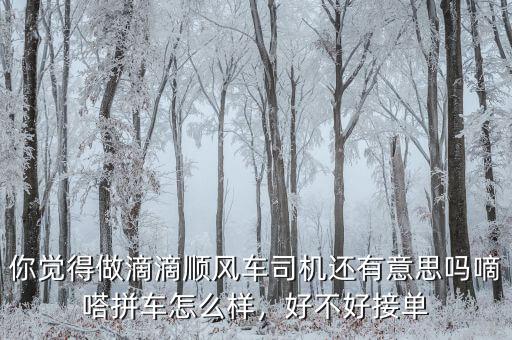 你覺得做滴滴順風(fēng)車司機(jī)還有意思嗎嘀嗒拼車怎么樣，好不好接單