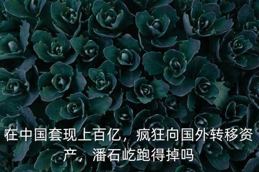 在中國(guó)套現(xiàn)上百億，瘋狂向國(guó)外轉(zhuǎn)移資產(chǎn)，潘石屹跑得掉嗎
