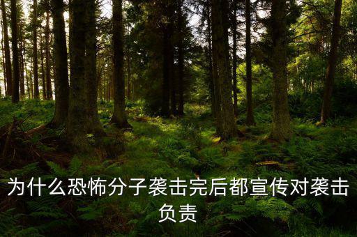 為什么恐怖分子襲擊完后都宣傳對襲擊負責