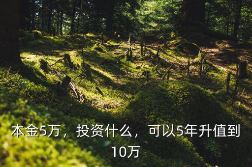 本金5萬，投資什么，可以5年升值到10萬