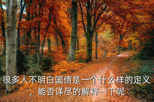 很多人不明白國債是一個(gè)什么樣的定義，能否詳盡的解釋一下呢