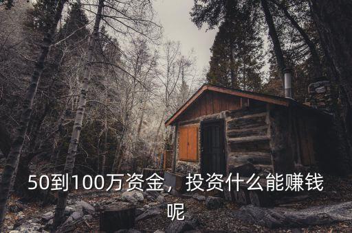 50到100萬資金，投資什么能賺錢呢