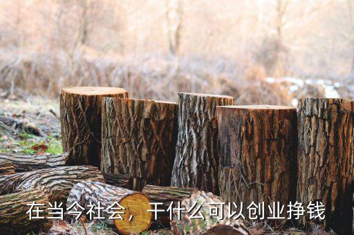 在當(dāng)今社會(huì)，干什么可以創(chuàng)業(yè)掙錢(qián)