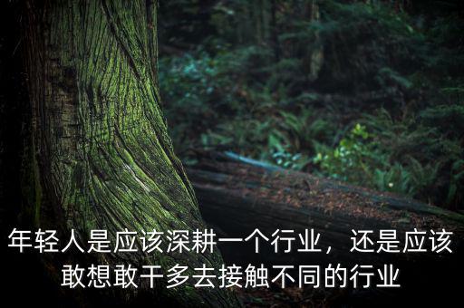 年輕人是應(yīng)該深耕一個(gè)行業(yè)，還是應(yīng)該敢想敢干多去接觸不同的行業(yè)