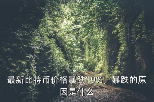 最新比特幣價(jià)格暴跌19%，暴跌的原因是什么